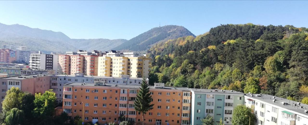 Ama Apartment Mountain View & Parking Braşov Exterior foto
